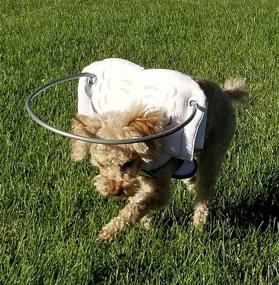 img 2 attached to Muffin’s Halo: The Ultimate Guide Device for Blind Dogs to Prevent Accidents & Boost Confidence – An Essential Accessory for Navigating Surroundings. Over 30,000 Blind Dogs Assisted!