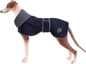 img 4 attached to Geyecete Greyhound Raincoat Adjustable Dog Navy XL