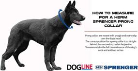img 2 attached to 🐶 Herm Sprenger Stainless Steel Prong Dog Training Collar - Quick Release Buckle, Ultra-Plus Pet Pinch Collar, No-Pull for Dogs - Made in Germany