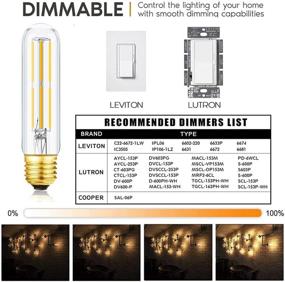 img 2 attached to T10 Led Bulb