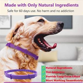 img 1 attached to 🐶 leQuiven Calming Collar for Dogs - Pack of 3, Long-lasting Anxiety Relief with Pheromones, Adjustable Waterproof Collars for Small, Medium & Large Breeds up to 24 Inches
