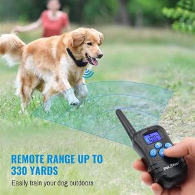 img 3 attached to 🐶✨ Petrainer PET998DRB2 Ошейник для тренировки двух собак: подзаряжаемый водонепроницаемый пульт для собак с звуковым сигналом, вибрацией и статическими функциями, радиус действия до 1000 футов.