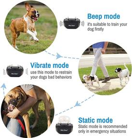 img 2 attached to 🐶✨ Petrainer PET998DRB2 Ошейник для тренировки двух собак: подзаряжаемый водонепроницаемый пульт для собак с звуковым сигналом, вибрацией и статическими функциями, радиус действия до 1000 футов.
