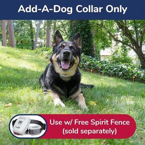 img 3 attached to 🐕 Enhance Your Free Spirit In-Ground Fence with an Add-A-Dog Collar: Additional Shock Collar with Tone/Vibrate and Shock for Extra Control and Convenience