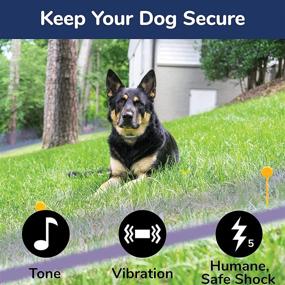 img 2 attached to 🐕 Enhance Your Free Spirit In-Ground Fence with an Add-A-Dog Collar: Additional Shock Collar with Tone/Vibrate and Shock for Extra Control and Convenience