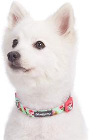 img 2 attached to 🌸 10+ Patterns Spring Scent Floral Personalized Dog Collars by Blueberry Pet