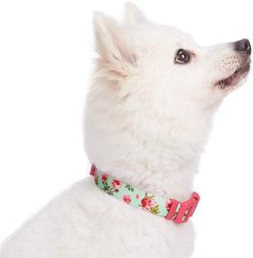 img 1 attached to 🌸 10+ Patterns Spring Scent Floral Personalized Dog Collars by Blueberry Pet