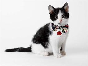 img 1 attached to 🐱 Enhanced Safety and Style for Your Feline Friend: Reflective Cat Collar with Bell, Bow Tie, Breakaway Function – Ideal for Cats and Small Dogs