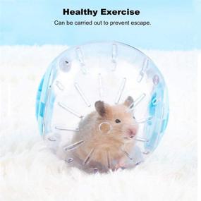 img 2 attached to 🐹 Fouua Transparent Mini Hamster Ball - Silent Running Exercise Activity Toy for Small Animals, including Dogs - Ideal Cage Accessory for Pet Entertainment