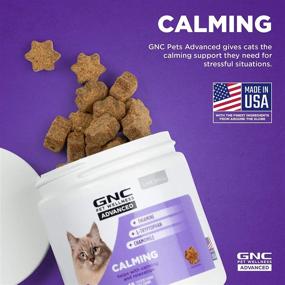 Gnc pets hotsell calming large breed