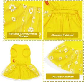 img 3 attached to 🌸 KYEESE Daisy Dog Skirt - Flower Print Tulle Sundress for Small to Medium Dogs - Fashionable Doggie Apparel