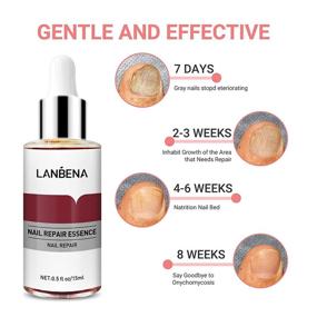 img 3 attached to 💅 LANBENA Nail Repair Essence: Effective Treatment for Damaged Nails, Repair and Protect from Infection, Discoloration and Damage (12ml)