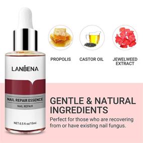 img 1 attached to 💅 LANBENA Nail Repair Essence: Effective Treatment for Damaged Nails, Repair and Protect from Infection, Discoloration and Damage (12ml)