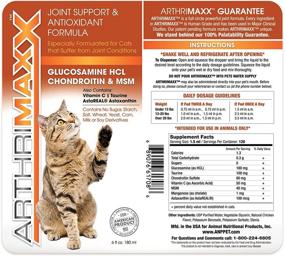 img 3 attached to ArthriMAXX: Optimal Joint Supplement and Wellness Support for Dogs and Cats