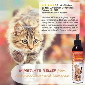 img 1 attached to ArthriMAXX: Optimal Joint Supplement and Wellness Support for Dogs and Cats