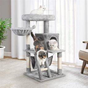 img 3 attached to 🐱 Dooradar Cat Tree Tower, 39-inch Condo with Hammock, Basket Cradle, Scratching Posts & Climbing Ladder for Indoor Cats to Play & Rest, 3-tier Kitten Kitty Activity Center Stand House in Gray