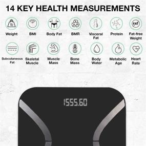 img 1 attached to 🔢 KoreHealth Smart Scale - Body Weight and Fat Scale, Bluetooth-Enabled Digital Bathroom Scale to Measure BMI, Muscle Mass, and Body Liquids, Wireless Smart Scale