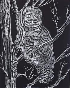 img 2 attached to 🎨 Melissa & Doug Scratch Art Scratchboard - Black Coated 12 pt 11 x 14 (Pack of 12)