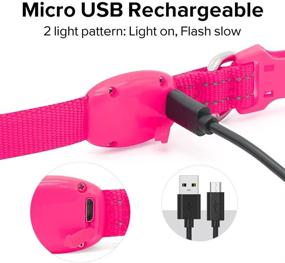 img 1 attached to Collar Rechargeable Lighted Glowing Reflective