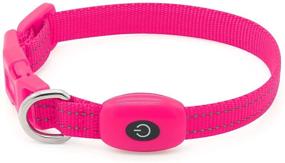 img 4 attached to Collar Rechargeable Lighted Glowing Reflective