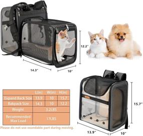 img 3 attached to Hanjo Pets Cat Backpack Expandable - Ultimate Comfort and Convenience for Small Dogs and Cats - Premium 🐱 Expandable Pet Carrier Backpack with Mesh Design, Perfect for Traveling and Adventure - Escape Proof Leash and Breathable Construction Included