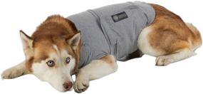 img 2 attached to BH Pet Gear Chest Calm Coat