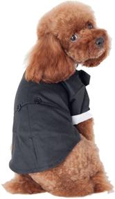 img 3 attached to GabeFish Black Wedding Jackets Suit for Dogs with Bow Tie - Stylish Formal Clothes Shirt Tuxedo for Puppies and Cats