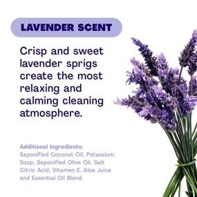 img 2 attached to 🌿 Cleancult Lavender Scent Liquid Hand Soap Refill - 16 oz (3 Pack) | Cruelty-Free, Moisturizing, Biodegradable, Eco-Friendly