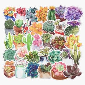 img 4 attached to 🌸 Jasion 70-Pcs Watercolor Flower, Cactus & Succulent Sticker Set for Personalizing Bottles, Cars, Laptops & More