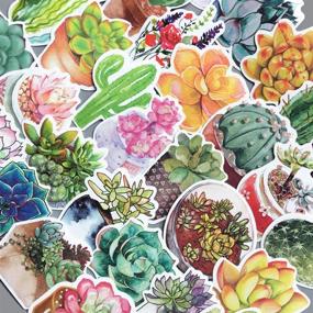 img 1 attached to 🌸 Jasion 70-Pcs Watercolor Flower, Cactus & Succulent Sticker Set for Personalizing Bottles, Cars, Laptops & More