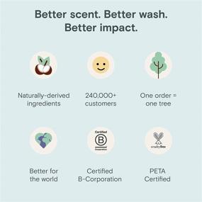 img 2 attached to 🌿 FREY Concentrated Natural Laundry Detergent: Long Lasting High Efficiency Liquid - Eco Friendly, Biodegradable & Great Smelling - 50 Loads