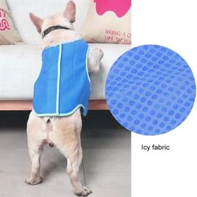 img 1 attached to Petilleur Cooling Vest for Dogs - Breathable Mesh Dog Cooling Coat for Small, Medium, and Large Breeds