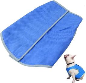 img 4 attached to Petilleur Cooling Vest for Dogs - Breathable Mesh Dog Cooling Coat for Small, Medium, and Large Breeds