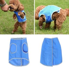 img 2 attached to Petilleur Cooling Vest for Dogs - Breathable Mesh Dog Cooling Coat for Small, Medium, and Large Breeds