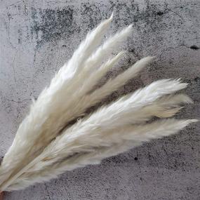 img 1 attached to 🌾 White Natural Dried Pampas Grass Bundles - 30 Pcs for Flower Arrangements and Home Decor - 45cm Length