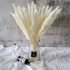 img 4 attached to 🌾 White Natural Dried Pampas Grass Bundles - 30 Pcs for Flower Arrangements and Home Decor - 45cm Length