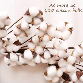 img 1 attached to 🌼 Premium Real Cotton Wreath - Adjustable Stems with 110 Cotton Bolls - Natural White Flower Bolls for Front Door Festival Hanging Decorations - Welcome Décor