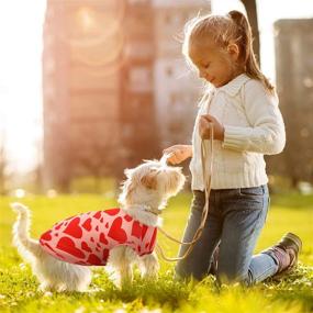 img 1 attached to 🐶 Stylish and Breathable 6-Piece Dog Shirt Set for Holiday Season - Christmas, Valentine's Day, and Irish Independence Day