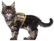 🐾 tactical cat and small dog harness - escape proof, adjustable mesh vest for walking - large cat and small dog logo