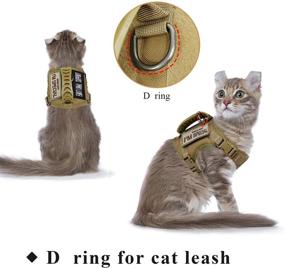 img 3 attached to 🐾 Tactical Cat and Small Dog Harness - Escape Proof, Adjustable Mesh Vest for Walking - Large Cat and Small Dog