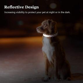 img 2 attached to Adjustable Nylon Dog Collar with Safety Buckle | Soft Neoprene Padding for Small, Medium, and Large Pets - Grand Line Reflective Puppy Collar
