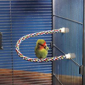 img 3 attached to Улучшите комфорт вашей птицы с помощью JW Pet Comfy Perch: гибкий многоцветный канат для оптимального расслабления.