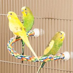 img 1 attached to Улучшите комфорт вашей птицы с помощью JW Pet Comfy Perch: гибкий многоцветный канат для оптимального расслабления.