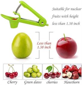 img 1 attached to 🍒 Multifunctional Cherry and Olive Pitter Tool - High-Quality Remover and Portable Aid for Your Kitchen