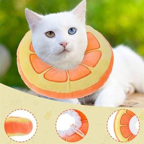 img 1 attached to 🐱 Frienda 2 Pack Cat Cone Collar Soft Recovery Collar Adjustable Cute Elizabethan Collars Pet Neck Cone for Kitten and Small Dogs, Orange and Watermelon