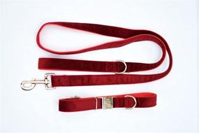 img 1 attached to Ruff Ryder Velvet Collar Leash