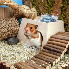img 2 attached to 🏡 Cozy Hideaway for Dwarf Syrian Hamsters, Gerbils, Mice, Rats, Degus & More: Niteangel Woodland Small Animal Hideout