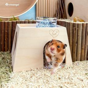 img 3 attached to 🏡 Cozy Hideaway for Dwarf Syrian Hamsters, Gerbils, Mice, Rats, Degus & More: Niteangel Woodland Small Animal Hideout