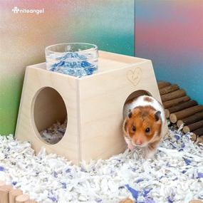 img 1 attached to 🏡 Cozy Hideaway for Dwarf Syrian Hamsters, Gerbils, Mice, Rats, Degus & More: Niteangel Woodland Small Animal Hideout