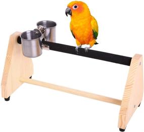 img 4 attached to 🦜 QBLEEV Parrot Play Wood Stand: Portable Table Playstand with Feeder Dish Cup - Ideal for Cockatiels, Conures, Parakeets, and Finch